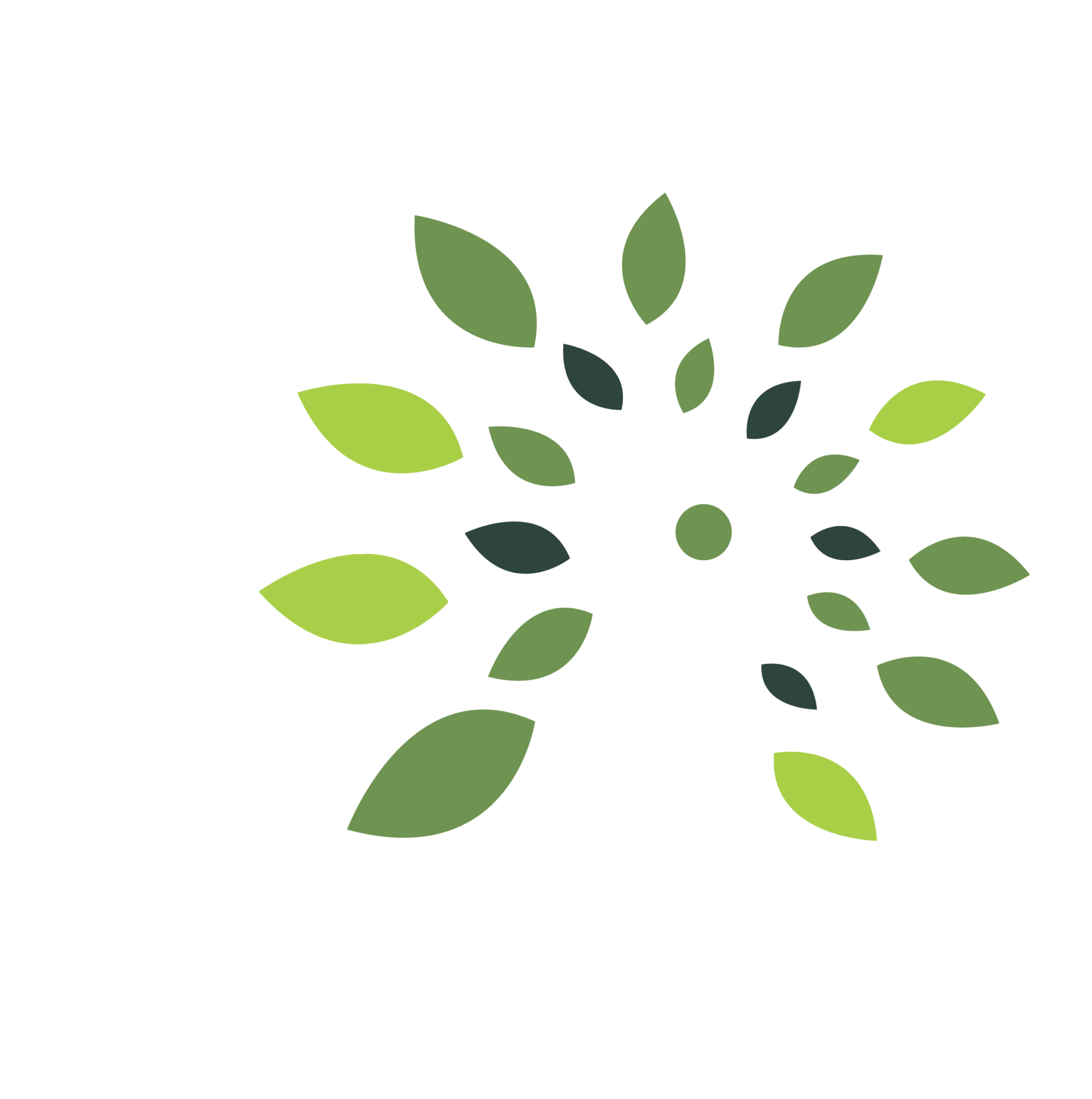 SCC Services